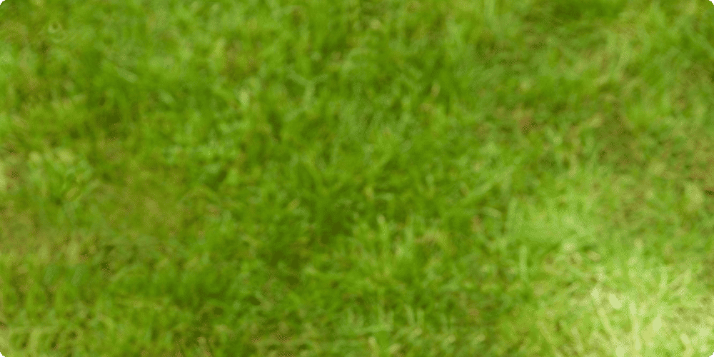 Investissement à long terme